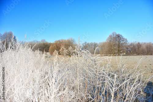 Wallpaper Mural frozen landscape at the edge of the field Torontodigital.ca