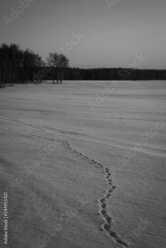 Footprints  road in the frozen snow field