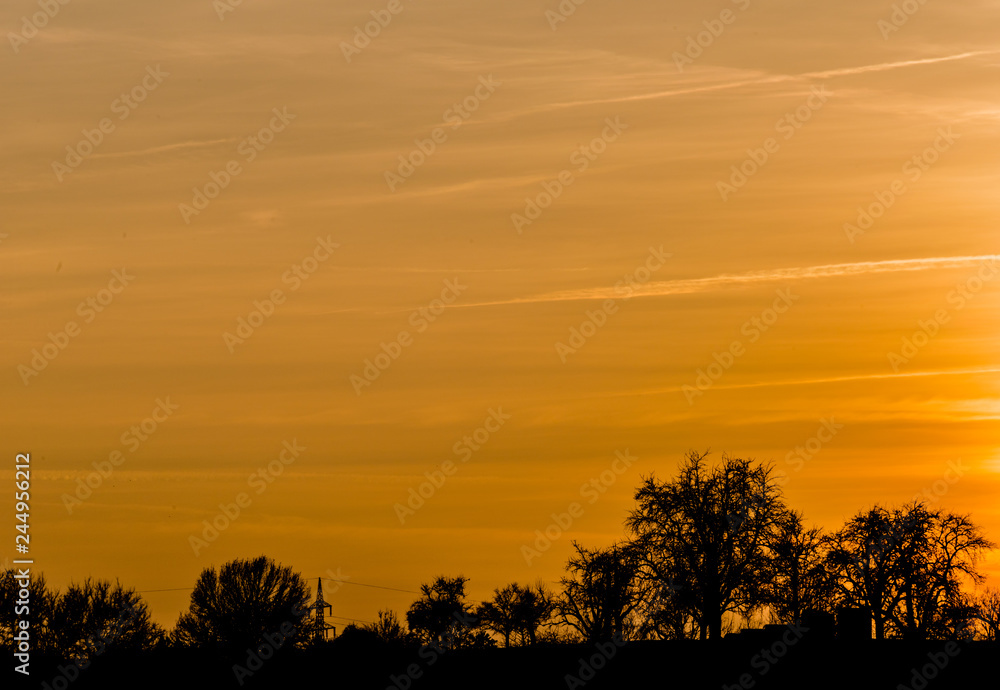 Schöner Sonnenuntergang mit Baumschattenbild.
Gelb farbige schöne Naturszene des Himmels