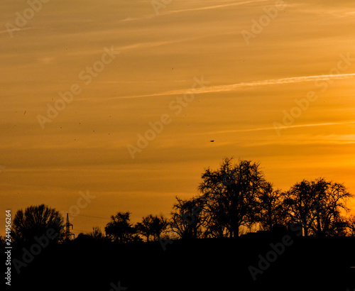 Schöner Sonnenuntergang mit Baumschattenbild.
Gelb farbige schöne Naturszene des Himmels