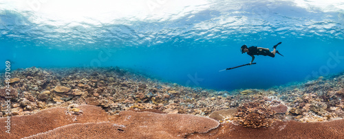 Photography Spearfisher hunting on healthy reef