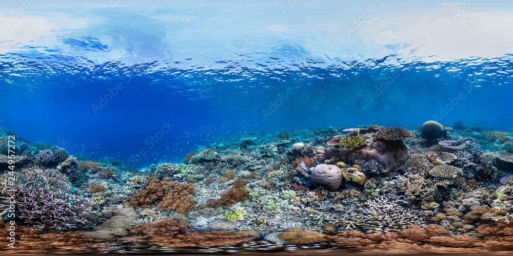 Healthy coral reef in Raja Ampat Indonesia panorama - obrazy, fototapety, plakaty 