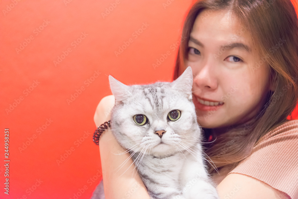 Young woman with a scottish fold cat.Face of scottish fold cat