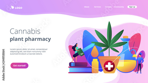 Hemp seed oil used as pain relief medicine in pharmacy and for cooking dishes. Hemp seed oil, CBD oil use, cannabis plant pharmacy concept. Website vibrant violet landing web page template.