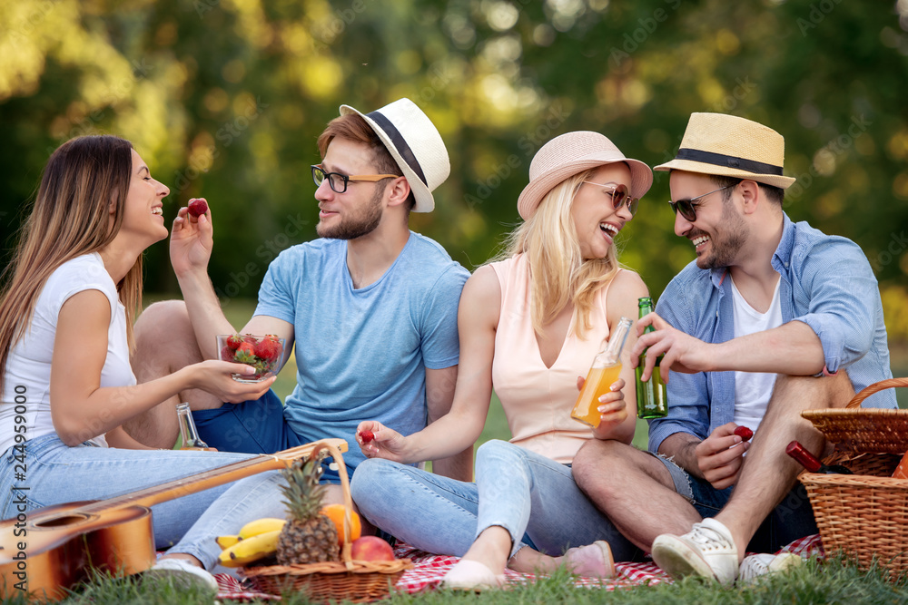Friends enjoying on picnic Friends enjoying on picnic