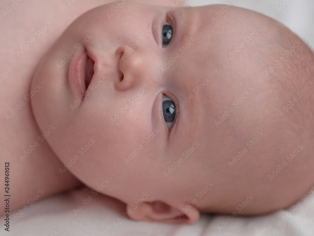 Baby face close up. The baby stares intently. Baby face close up. The baby stares intently.
