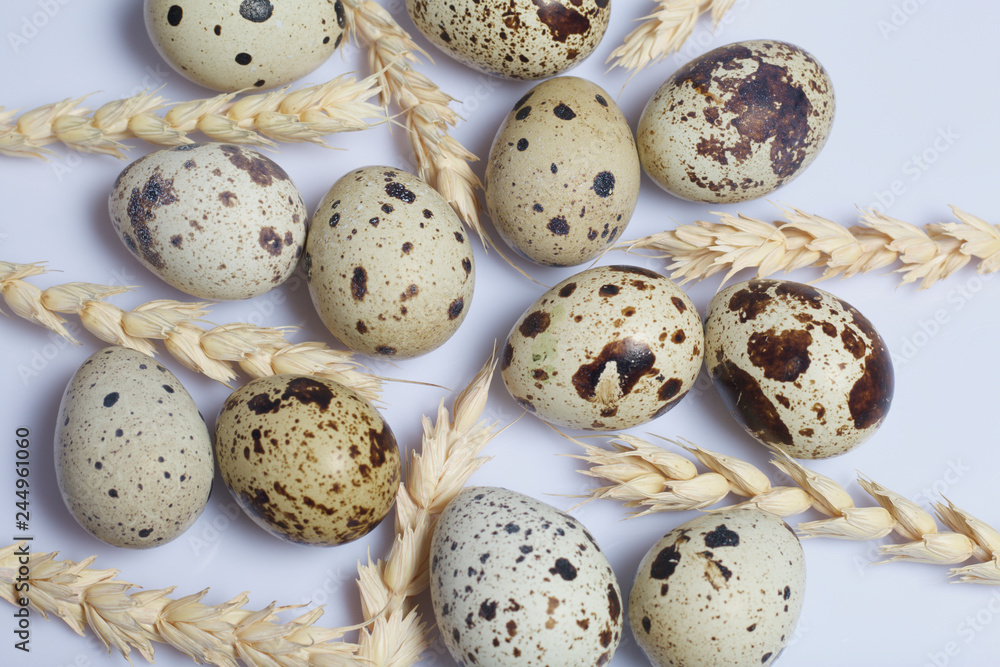 Fototapeta premium Quail eggs. Next spikelets. Lie on a white background.