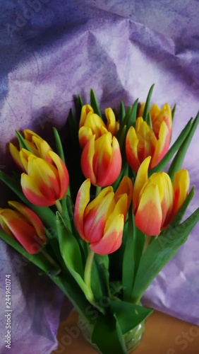 Tulpen 5