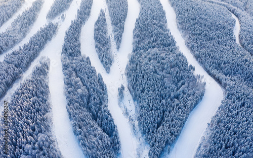 Aerial view at the slope on ski resort. Forest and ski slope from air. Winter landscape from a drone. Snowy landscape on the ski resort. Aerial photography