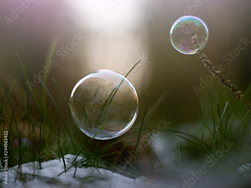 soap bubble in nature in winter