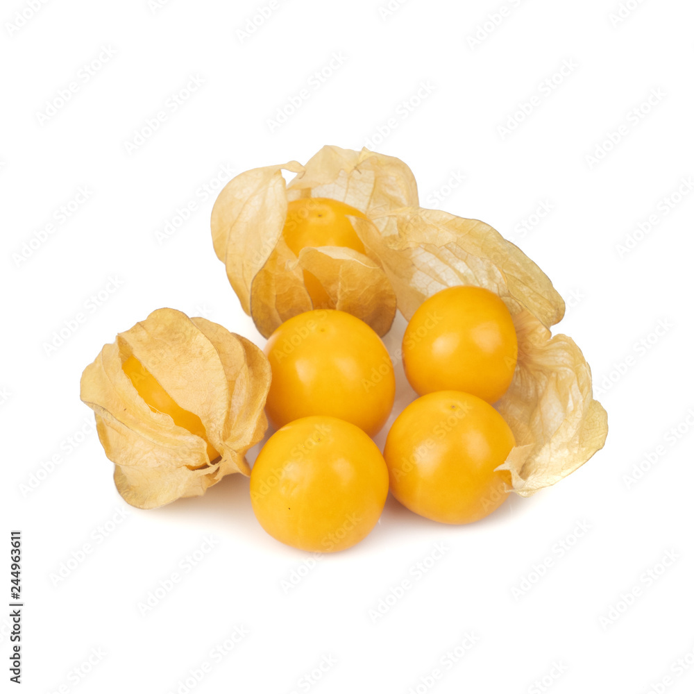 Cape Gooseberry (Physalis Peruviana) or Ground cherries, Physalis minima, Pygmy ground cherry, Inca berry, Golden strawberry, Strawberry tomato, Husk tomato isolated on white background Cape Gooseberry (Physalis Peruviana) or Ground cherries, Physalis minima, Pygmy ground cherry, Inca berry, Golden strawberry, Strawberry tomato, Husk tomato isolated on white background