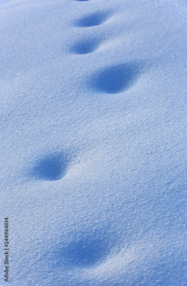 footprints on blue snow surface