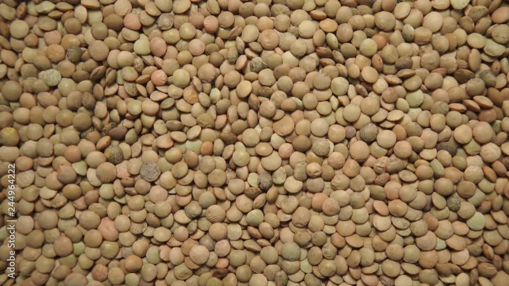 Lentil as food background. Top view. Health and dieting. Green lentils pattern. Natural organic healthy eating Lentil as food background. Top view. Health and dieting. Green lentils pattern. Natural organic healthy eating