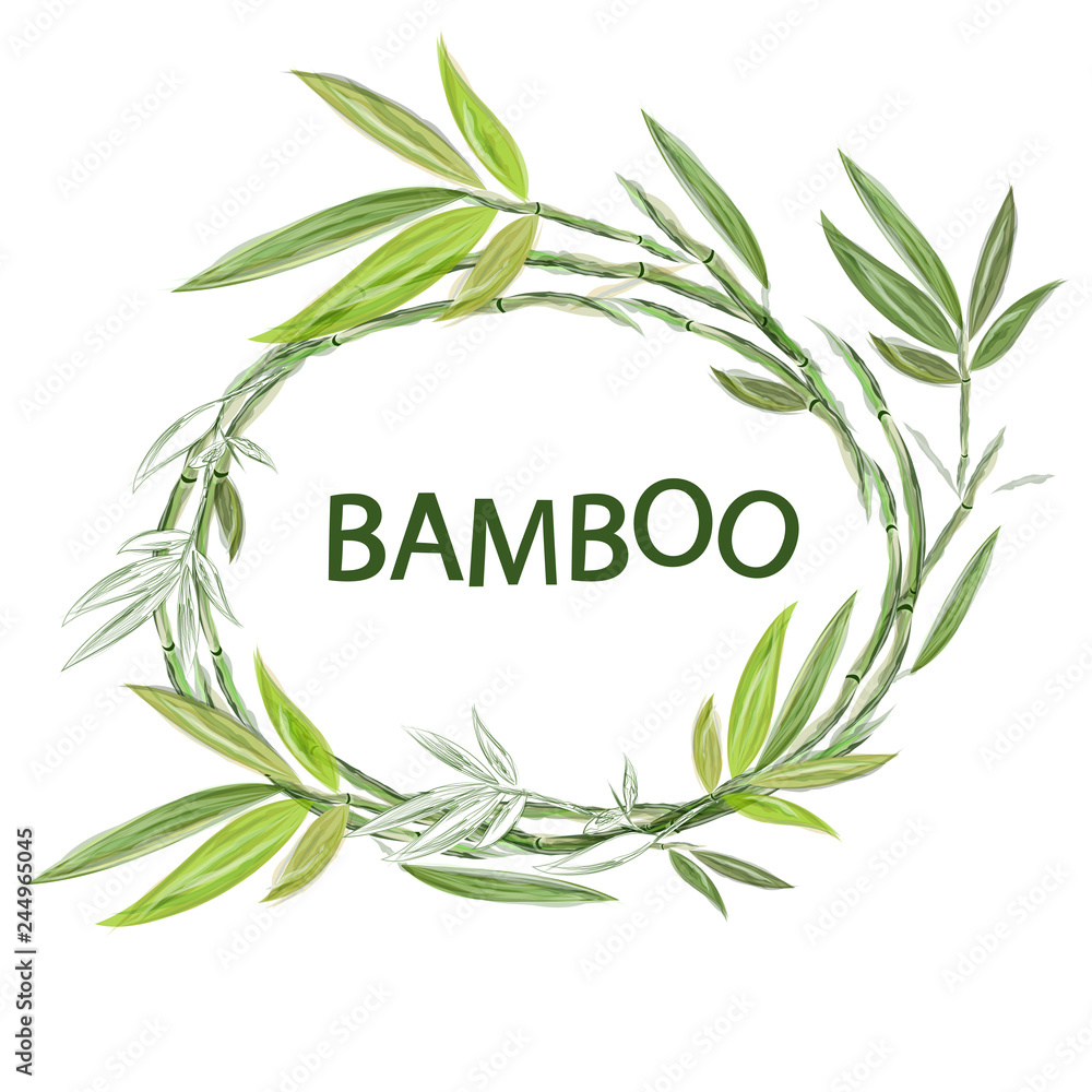 Fototapeta Okrągła rama akwarela bambusa. Ramy roślin do projektowania. Szablon dla tekstu.