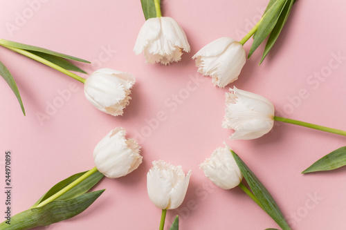Fototapeta Naklejka Na Ścianę i Meble -  White tulip flowers on a pastel pink background