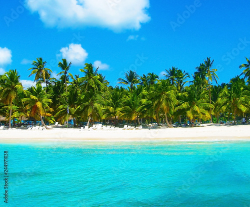 Tropical beach in caribbean sea, Saona island, Dominican Republic © elens19