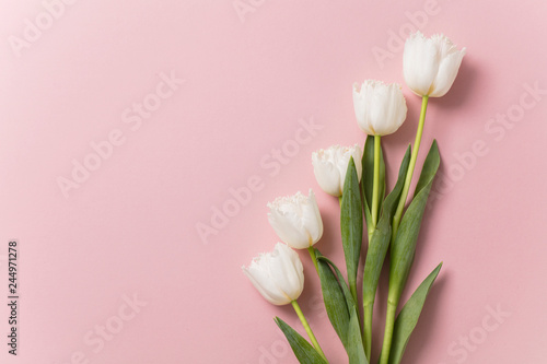 White tulip flowers on a pastel pink background © ink drop