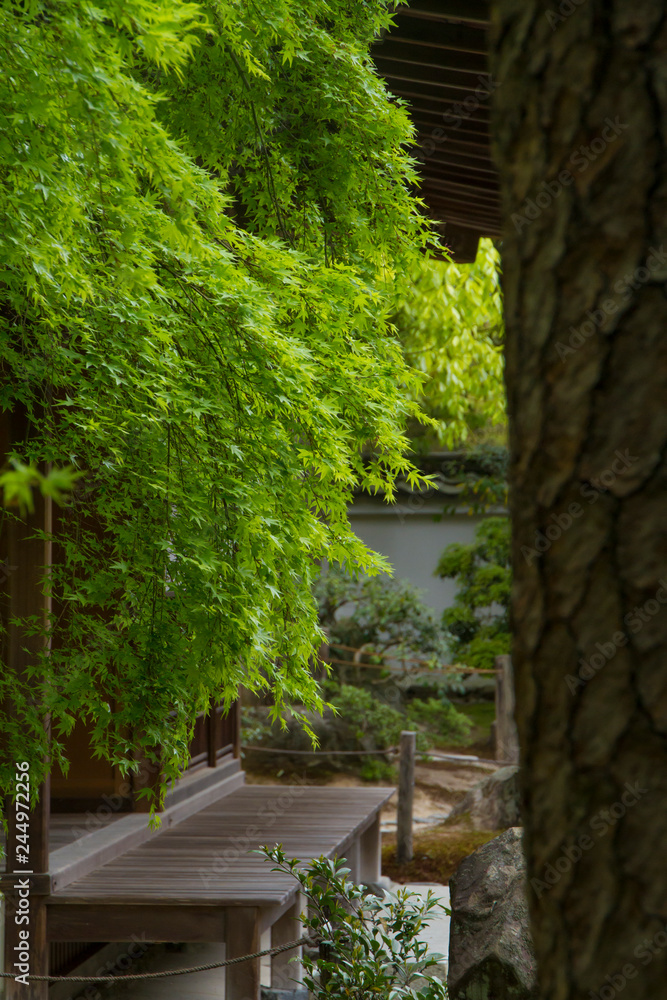 京都銀閣寺の夏の庭園①