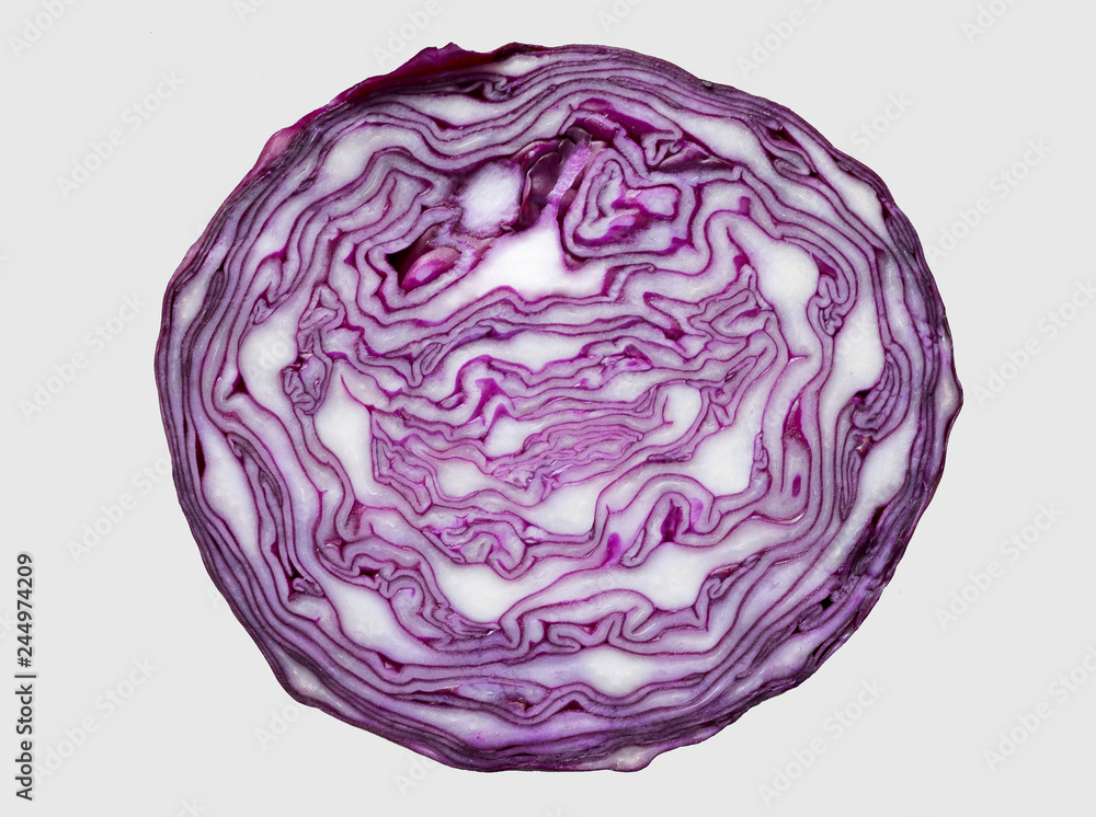 Fresh cabbage isolated on white background. Fresh cabbage isolated on white background.