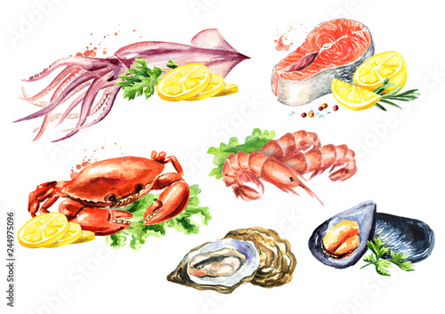 Seafood composition set with salmon, squid, crab, mussels, oysters, shrimp, lemon and greens, Watercolor hand drawn illustration isolated on white background