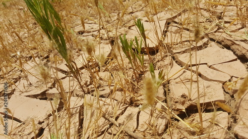 eroded soil
