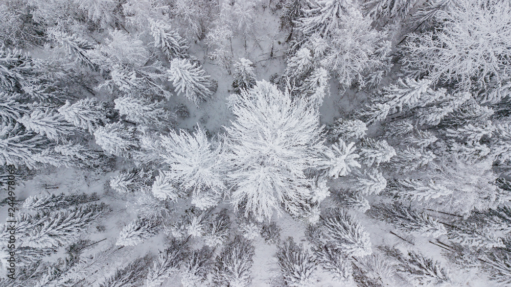 Aerial flight above winter forest on the north of Russia Aerial flight above winter forest on the north of Russia
