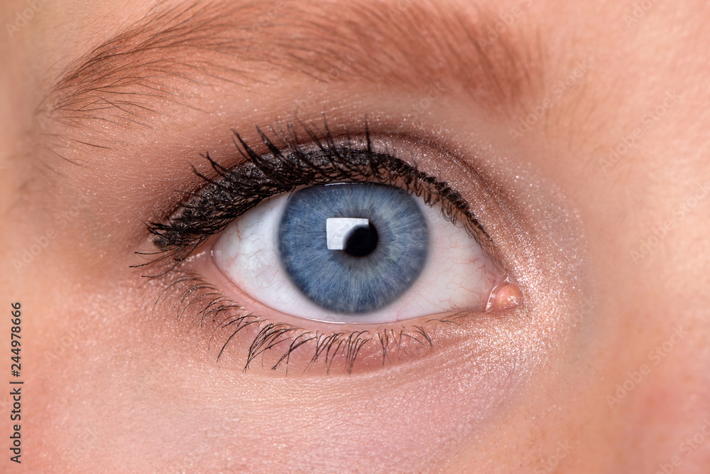 Fototapeta premium close up of human blue eye