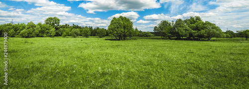 green field with trees and blue sky with clouds Sunny day, beautiful rural landscape, panoramic banner