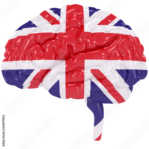 3D Human brain is colored flag of United Kingdom