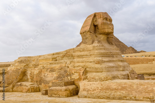 The great Sphinx in Giza plateau. Cairo  Egypt