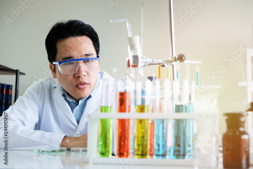 Scientists working in the laboratory