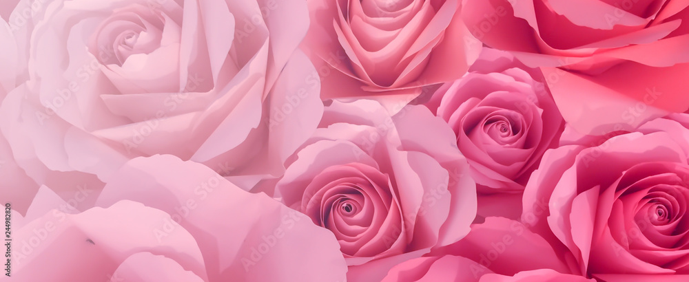 close up top view of pink petal flowers panoramic background for valentine's day 14 february , mother day and international women day concept	
