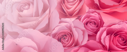 close up top view of pink petal flowers panoramic background for valentine's day 14 february , mother day and international women day concept	
