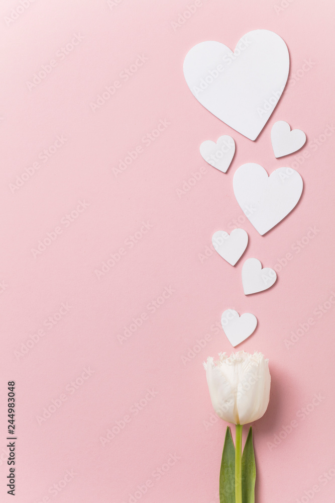 White flowers and hearts on a pastel pink background - obrazy, fototapety, plakaty 