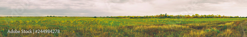 Panorama of a large autumn meadow on cloudy day