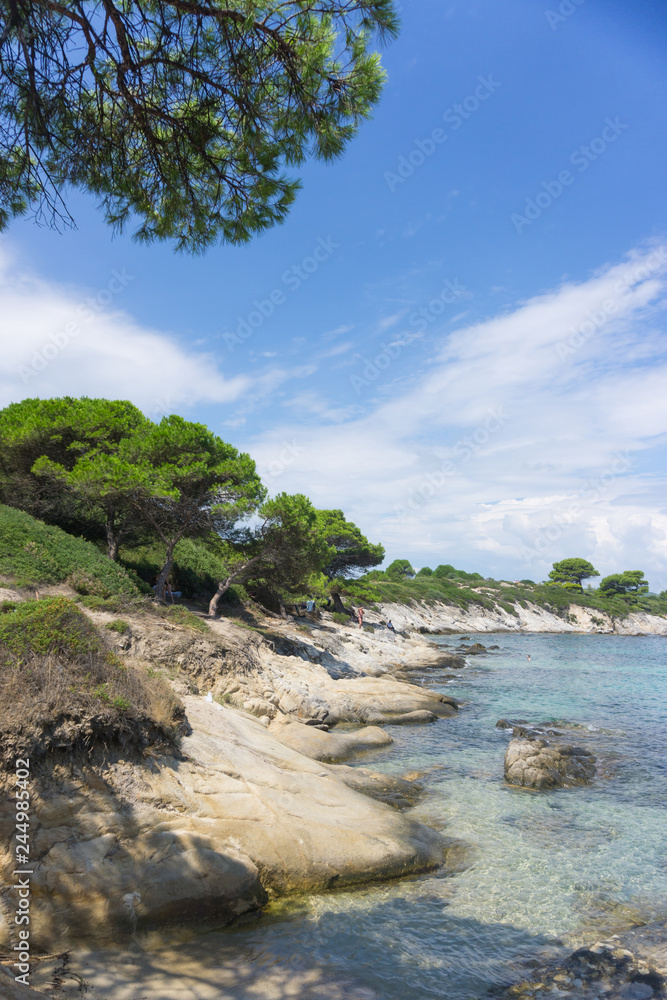 Blue sea water waves and rock beach with trees.