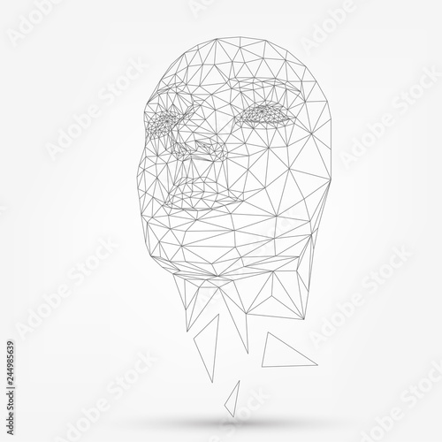 Human face, polygonal mesh, technology