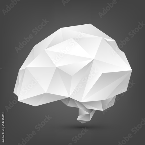 Low poly papper human brain on a white background, origami. Mind, intelligence, ideas