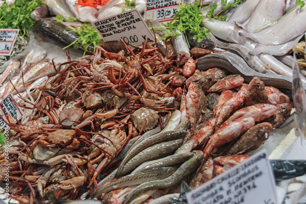 Mercato della frutta della verdura e del pesce Ventimiglia banco pesce
