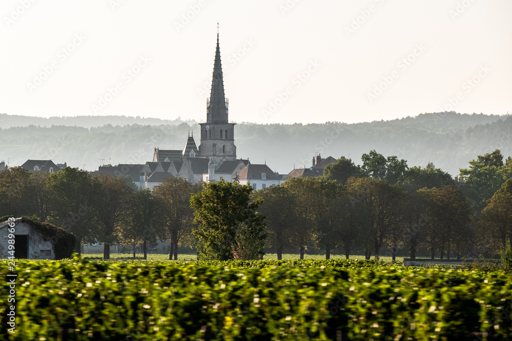 Panorama sur le village de Nolay, Bourgogne, France