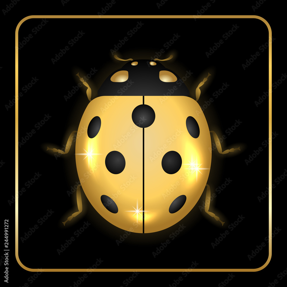 Naklejka premium Biedronka owad złota mała ikona. Złoty metal znak biedronka zwierzę, na białym na czarnym tle. Jasny projekt objętości 3D. Śliczna błyszcząca biżuteria biedronka. Lady bird closeup beetle ilustracji wektorowych
