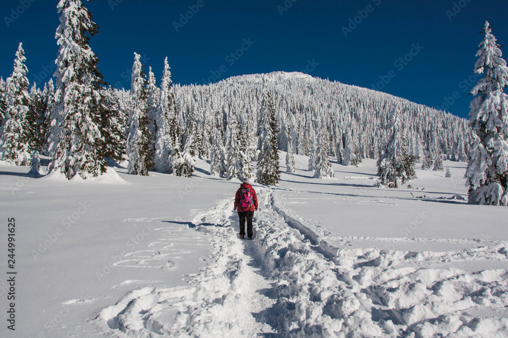 Hiking trail in winter mountains