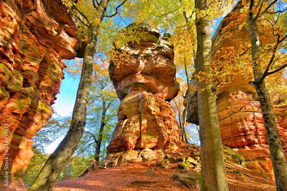 Obraz premium Altschlossfelsen im Dahner Felsenland im Herbst - Altschlossfelsen rock in Dahn Rockland, Germany