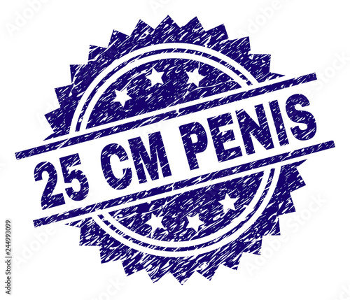 25 CM PENIS stamp seal watermark with distress style. Blue vector rubber print of 25 CM PENIS label with grunge texture.