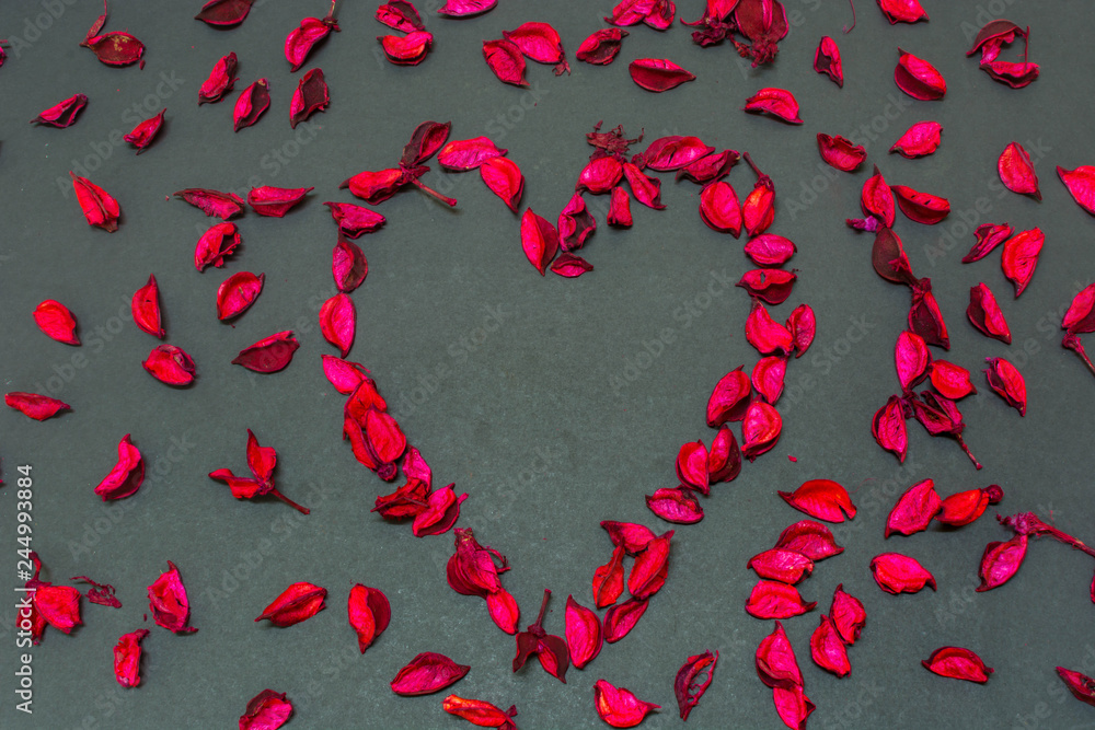 Heart Shaped Rose petals in Black Background Heart Shaped Rose petals in Black Background