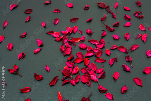 Rose petals spread on black background