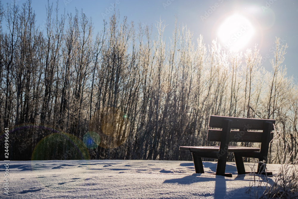 Lone wooden bench sitting amidst layer of snow with bright sunny sky