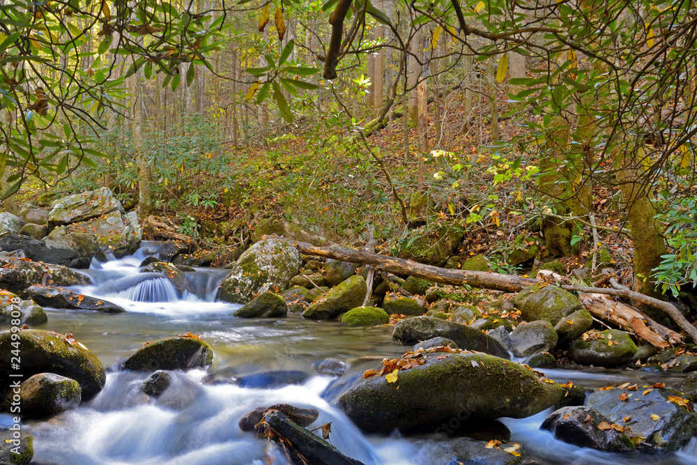 Small stream in the Smokies surrounded with fall leaves.