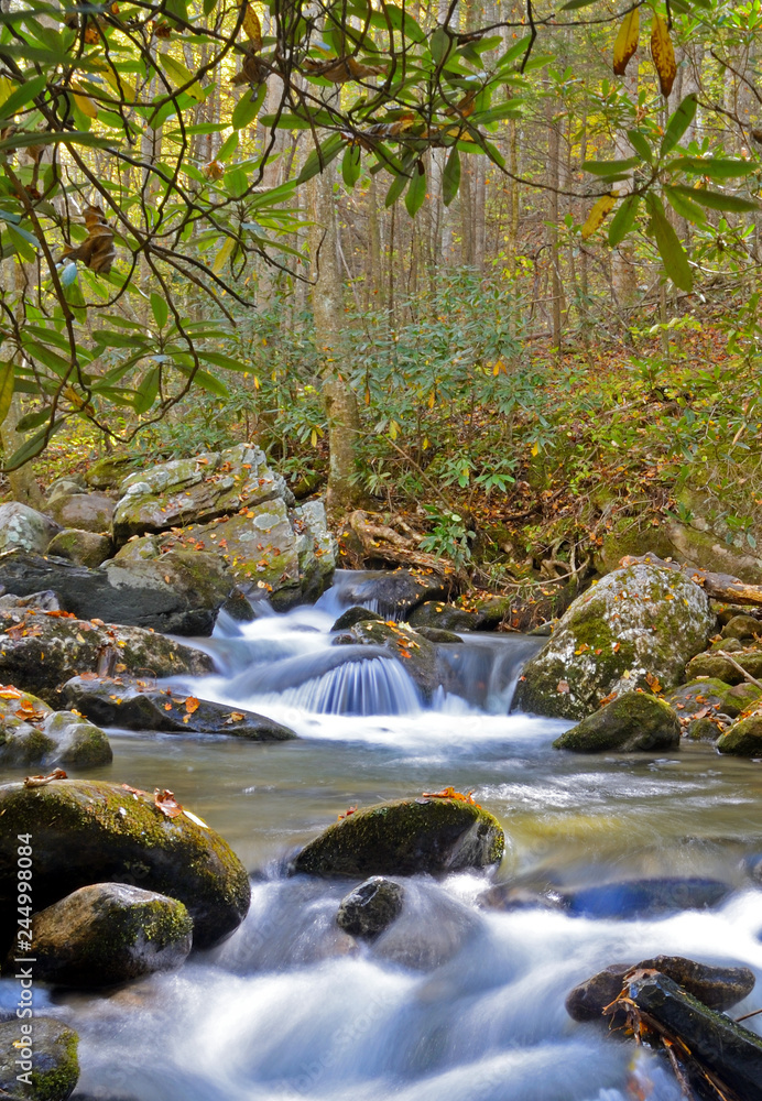 Fototapeta premium Small stream in the Smokies surrounded with fall leaves.
