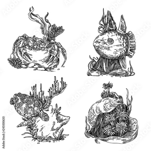 Set of marine animals. Turtle, sunfish, moray and crab. Sketch. Engraving style. Vector illustration.